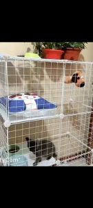 สินค้าพร้อมจัดส่งในกรุงเทพฯ แผ่นทึบ DIY ขนาดแผ่น35*35ซม กรง DIY ง่าย