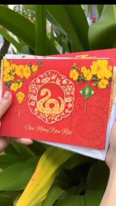 COMBO 10 Thiệp Chúc mừng năm mới 2025 chủ đề cô gái áo dài Việt Nam .