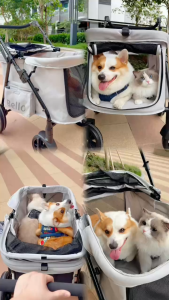【Ready Stock】BELLO  Large Pet Stroller Camping cat Dog Cart Folding FoldableLarge Space Bearing 30KG for Outdoor parm trolley
