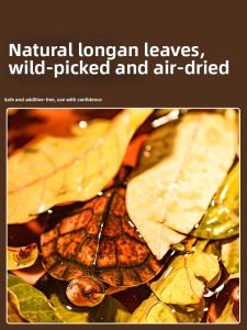 CHONGXIAOSHUAI | Water Quality Regulating Tortoise Hiding Decorative Plant