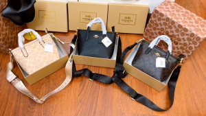 Túi xách tay đeo chéo nữ full box CO ACH size : 20cm*8cm*15cm