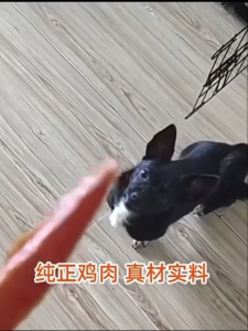 Crispy Chicken Thigh Slices 250g Rawhide Free Dog Dental Stick Dog Snacks Dog Treats