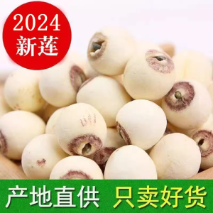 Authentic New White Lotus Seeds with Core 500g Dried Goods Peeled Skin off Core Removed High Quality Nutritious Chinese Herbal Supplement