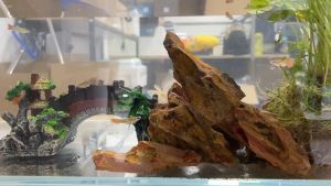 สวย 1ชิ้น สะพานเรซิ่น สะพานโค้งเรซิน สไตล์วินเทจ ตกแต่งตู้ปลา 10 ชิ้น สะพาน สำหรับ ตกแต่งตู้ปลา ของตกแต่งตู้ปลา สวย สไตล์วินเทจ