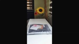 (BE Concepts & Lifestyle) Womens Korean Style High Waist Trousers Classic Straight Cut Slacks Pants