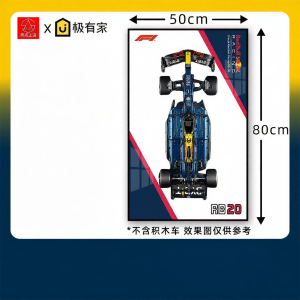F1 RB20 LEGO Display Frame