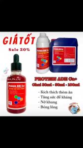 PROTEIN ADE Ca+ (Chai 1L) - Nuôi gà tơ nở khung lên cân bóng lông cho gà