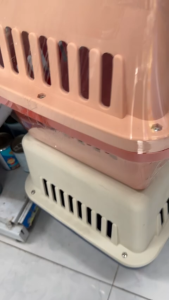 Lồng Vận Chuyển Chó Mèo Chất Liệu Cao Cấp Phù Hợp Đi Máy Bay Tàu Hoả Ô Tô Xe Máy Đủ Size Cho Pet Từ Nhỏ Đến Dưới 20kg