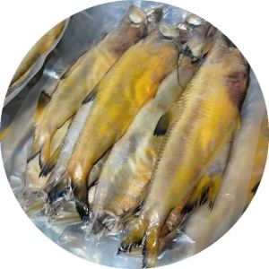 Khô Cá Lẹp Sắc Vàng Vị Mặn Vừa Ăn Được Rất Nhiều Con- ĐẶC SẢN MINH TRIẾT