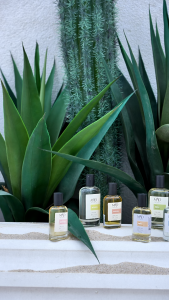 Mad W174 Men Premium Eau de Parfum 50 ml - Fresh Fougere Scent with Lemon Mint Apple Tonka Bean Vetiver & Vanilla