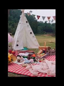 [HCM] Thảm picnic thảm decor dã ngoại cao cấp chụp ảnh cực đẹp gấp gọn dễ dàng mang theo-Hesede