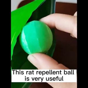 Betst Shop 50PCS Long-Lasting Rodent Repellent Mothballs Effective Rat & Mouse Poison Bait 15-Year Shelf Life 500m Radius