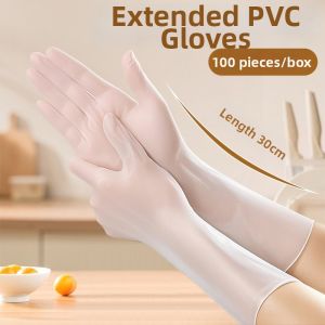 TAODUN | Food-Grade Durable PVC Long Disposable Gloves for Dough Handling