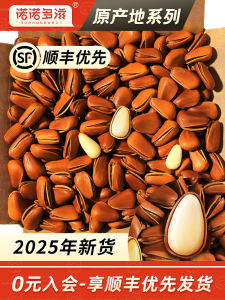 Wild Northeastern Pine Nuts Non-Premium Large Size Open-Kernel Pine Seeds Snacks from Nanjing Jiangsu Province in Mainland China