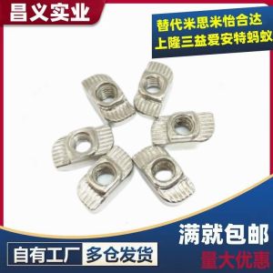 AHC21-206/308/408/4010-M6 European Standard T-Nut M3 M4 M5 M8 Hardware Tools Chinese Manufacturer Originated from China