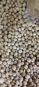 kacang kedelai 250gr (gratis royco sacet 1pc)