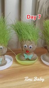 Grass Head Room Decor & Children Growing Grass Doll Toys: A Fun Indoor Office Table Plant Decor