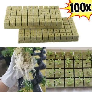 100pcs 25x25x25mm Stonewool Hydroponic Grow Media Cubes Plant Cubes Soilless Substrate Seeded Rock Wool Plug Seedling Block\\n\\n What Are Stonewool Hydroponic Grow Media Cubes?\\n\\nStonewool hydroponic grow media cubes, also known as seeded rock wool blocks, are soilless plant cubes designed specifically for seedling growth. These cubes provide a stable environment for plants to thrive, allowing them to develop strong root systems and robust growth. They are perfect for hydroponic systems, where plants grow without soil, using water and nutrient solutions.\\n\\n Understanding Seeded Rock Wool Blocks\\n\\nSeeded rock wool blocks are made from natural basalt rock and chalk, which are melted at extremely high temperatures and spun into thin fibers. This process creates a lightweight, porous material that retains moisture and air, providing ideal conditions for seed germination and root development.\\n\\n Exploring Soilless Plant Cubes for Seedling\\n\\nSoilless plant cubes, like our 100pcs hydroponic grow media cubes, offer numerous benefits over traditional soil-based growing methods. They provide excellent drainage, aeration, and moisture retention, while minimizing the risk of pests and diseases. These cubes are perfect for starting seeds and growing healthy seedlings, which can then be transplanted into larger hydroponic systems.\\n\\n Key Features of 100pcs Hydroponic Grow Media Cubes\\n\\nOur 100pcs hydroponic grow media cubes come in sets of 50 or 100 pieces, each measuring 25x25x25mm. They are made from high-quality stonewool, ensuring durability and long-lasting performance. The cubes are pH-neutral, making them suitable for a wide range of plants and growing conditions. They are easy to use, requiring minimal preparation before planting.\\n\\n Choosing the Right Stonewool Hydroponic Grow Media Cubes\\n\\nSelecting the right stonewool hydroponic grow media cubes depends on several factors, including size, shape, quality, durability, plant type, and growing conditions.\\n\\n Comparing Different Sizes & Shapes\\n\\nOur 100pcs hydroponic grow media cubes come in a standard size of 25x25x25mm, which is ideal for most seedlings. However, depending on your specific needs, you may want to consider larger or smaller sizes for different plants or growing systems.\\n\\n Evaluating Quality & Durability\\n\\nWhen choosing stonewool hydroponic grow media cubes, it's essential to consider their quality and durability. Our cubes are made from high-quality stonewool, ensuring they remain strong and stable throughout the growing process. They are pH-neutral, making them suitable for a wide range of plants and growing conditions.\\n\\n Selecting Based on Plant Type & Growing Conditions\\n\\nDifferent plants have varying requirements for growth, so it's crucial to choose stonewool hydroponic grow media cubes that meet these needs. For example, some plants may require more moisture retention, while others may benefit from better drainage. Consider the specific needs of your plants when selecting the right cubes for your hydroponic system.\\n\\n How to Use Stonewool Hydroponic Grow Media Cubes\\n\\nUsing stonewool hydroponic grow media cubes is simple and straightforward. Follow these steps to get started:\\n\\n Preparing the Cubes for Planting\\n\\nBefore planting, soak the cubes in water or a nutrient solution for about 30 minutes. This will help the cubes absorb moisture and prepare them for seed germination.\\n\\n Planting Seeds & Seedlings\\n\\nPlant seeds or seedlings directly into the prepared cubes. Ensure the seeds or seedlings are placed at the correct depth and spacing for optimal growth.\\n\\n Maintaining Optimal Growing Conditions\\n\\nMonitor the moisture levels, temperature, and nutrient solution regularly to maintain optimal growing conditions. Adjust as needed to promote healthy root development and robust plant growth.\\n\\n Benefits of Using Stonewool Hydroponic Grow Media Cubes\\n\\nUsing stonewool hydroponic grow media cubes offers numerous benefits for both novice and experienced growers.\\n\\n Enhancing Root Growth & Plant Health\\n\\nThe porous structure of stonewool hydroponic grow media cubes provides excellent drainage, aeration, and moisture retention, promoting healthy root growth and overall plant health.\\n\\n Reducing Water & Nutrient Waste\\n\\nBy using hydroponic systems, growers can minimize water and nutrient waste, making it an environmentally friendly and cost-effective growing method.\\n\\n Minimizing Pest & Disease Risks\\n\\nSoilless plant cubes, like our 100pcs hydroponic grow media cubes, reduce the risk of pests and diseases that can harm plants grown in traditional soil-based systems.\\n\\n Troubleshooting Common Issues with Stonewool Hydroponic Grow Media Cubes\\n\\nEven with proper care, issues may arise when using stonewool hydroponic grow media cubes. Here are some common problems and solutions:\\n\\n Identifying & Addressing Problems\\n\\nMonitor your plants regularly for signs of stress, such as yellowing leaves, wilting, or stunted growth. Address any issues promptly by adjusting the growing conditions or using appropriate treatments.\\n\\n Preventing Future Issues\\n\\nPrevent future issues by maintaining optimal growing conditions, monitoring for pests and diseases, and regularly cleaning and sanitizing your hydroponic system.\\n\\n Maximizing Long-Term Performance\\n\\nTo maximize the long-term performance of your stonewool hydroponic grow media cubes, follow proper care and maintenance guidelines. Regularly check for signs of wear and tear, and replace cubes as needed to ensure continued success in your hydroponic garden.\"