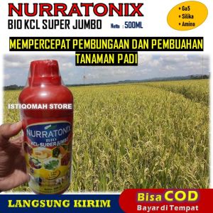 Pupuk BIO KCL SUPER JUMBO NURRATONIX 500ML Percepat Pembungaan Pembuahan Tanaman Padi Subur Panen Melimpah Cair Organik Perangsang Bunga Buah Nutrisi Tanah Unsur Hara Mikro Makro Padi Jagung Cabe