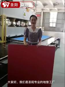 Professional Taekwondo Mats & High Rebound Martial Arts Training Mats