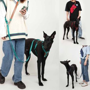 HIDREAM 5 In 1 Multi-Function Adjustable Dog Lead Hand Free Pet Training Leash Multi-Purpose Dog Leash Walk 2 Dogs