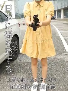 2pcs Anti Insect Mosquito Sunscreen Car Sunshade Window Net Door Mesh Car window screen curtains