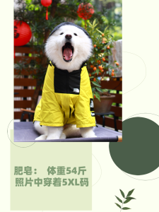 Pet Raincoat Windproof Waterproof Casual Clothing for Large Dogs Golden Retriever Samoyed Medium to Large Breeds Dog Clothes