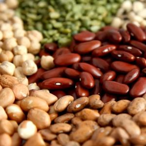 5 สี ชนิดผง Greenpea อินทรีย์ 250กรัม ผงถั่ว 5สี ปลอดสารเคมี