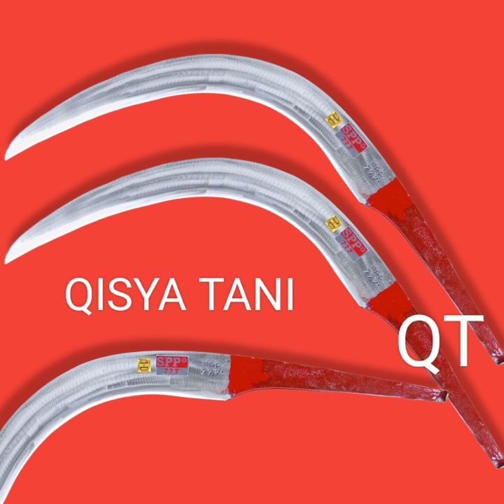 Qisqa porno videolar 6 daqiqadan oshmaydi