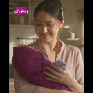 WHISKAS Combo Thức Ăn Cho Mèo Trưởng Thành Dạng Pate Mix 3 Vị 400G (dạng lon)