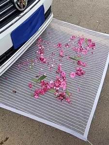 Hai Yao Era | Insect & Debris Prevention Car Face Protector