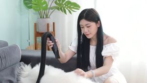 6800W Fast Drying Pet Hair Dryer Dog Dryer High Velocity Dog Hair Dryer Pet Dryer Pet Dog Cat Grooming Warm Wind Fast Blow-dryer Dog Cat Grooming Dryer Pet Dryer Blower 24H