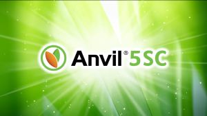 Thuốc trừ bệnh Anvil 5SC Syngenta - trừ bệnh phổ rộng thương hiệu cao cấp - 250ml