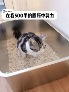 Chậu Đựng Thức Ăn Bằng Thép Không Gỉ Hình Chữ Nhật Chậu Đựng Rác Cho Mèo Chậu Đựng Thức Ăn Cho Nhà Bếp Chậu Đựng Rác Hình Vuông