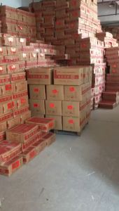Angpao Imlek Tahun Baru 6pcs Angpao Merah Fu Imlek Sincia Hongbao Grosir Premium Red Envelope Murah
