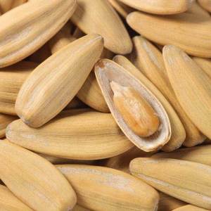 Flavored Large Sunflower Seeds