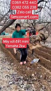 Máy xới đất mini gia đình 2kw làm vườn