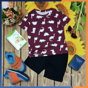 [VNXK Cao Cấp] Đồ Bộ Bé Trai Size Đại 15kg-35kg Chất Cotton Co Giãn 4 Chiều Mềm Mịn Rất Mát Hình Khủng Long-1419