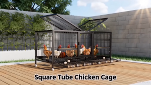 GREENPETS Chicken Cage Kulungan ng Manok Chicken Coop Strong Durable Spacious Heavy Duty Frame Antirust Coating Waterproof rustproof sunproof extra large space
