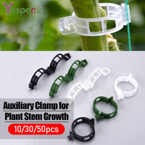 YESPERY 10/30/50pcs Plant Vine Holder Gardening Buckles Botany Stem Supports Clip Rattan Fixed Vegetable Growing Upright Tool