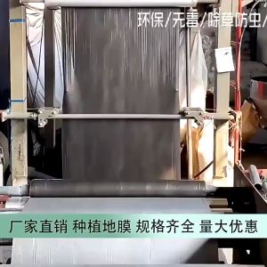 0.6m 0.8m 1m 1.2m Width Silvershine PE Cover Sheet Agriculture Silver Shine Fertigasi Plastik Penutup Tanah Tanaman UV Tebal