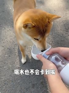 Dog Outing Cup Puppy Water Bottle Portable Drinking Fountain Bottle Pet Accompanying