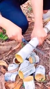 Gergaji mini Bonsai / Gergaji dahan mini pemotong kayu Ranting Dahan Pohon Manual super tajam