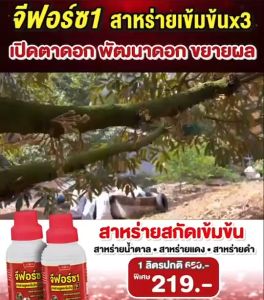 จีฟอร์ซวันเปิดตาดอก เพิ่มดอกทุเรียน ดอกดก ผลดก ใช้ได้ทุกพืช ปุ๋ยน้ำฮอร์โมนพืช ขนาด 1ลิตร