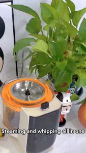 Isa Uchi Mini Puree Pro Food Processor