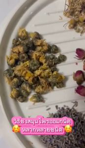 ดอกเก๊กฮวยป่าอบแห้ง(Chry santhemum) กลิ่นหอมมาก ดื่มแล้วสดชื่น ชื่นใจ ขนาด30กรัม ราคาถูกมาก สมุนไพรOrganic100%