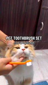 Yingtee Dog Cat Finger Toothbrush Set Toothpaste Only All Stages Adult Kitten Puppy Pet Oral Care