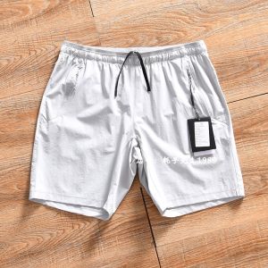 Lightweight Quick Dry Outdoor Mens Sports Shorts 3D Tailoring DWR Water Resistant Summer Casual Straight Leg Pants