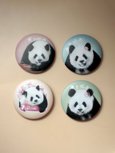 Phụ Kiện Áo Thắt Lưng Hình Gấu Trúc Dễ Thương Phong Cách INS Tươi Mới Thủ Công Sáng Tạo Cho Người Lớn Trên 15 Tuổi