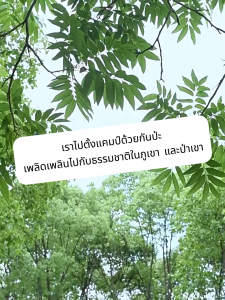 กล่องเก็บของพับได้ กล่องตั้งแคมป์ กล่องอเนคประสงค มีให้เลือก 2 สี ความจุที่แข็งแกร่ง 35L 60L ง่ายต่อการพกพา